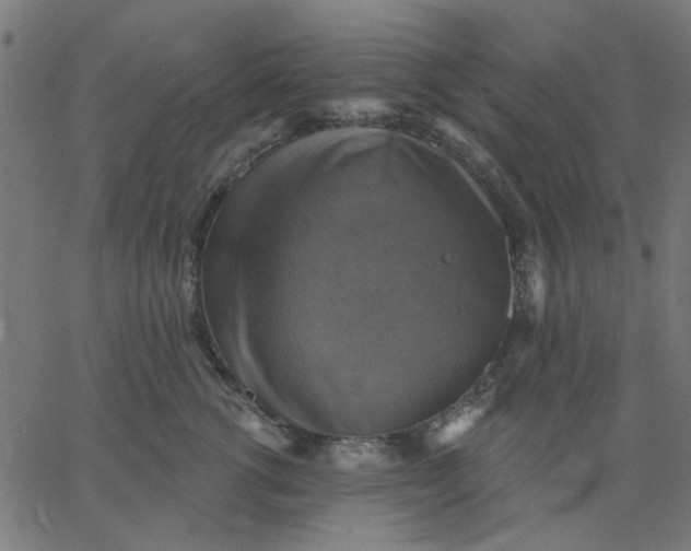 X0000067840762200604271619