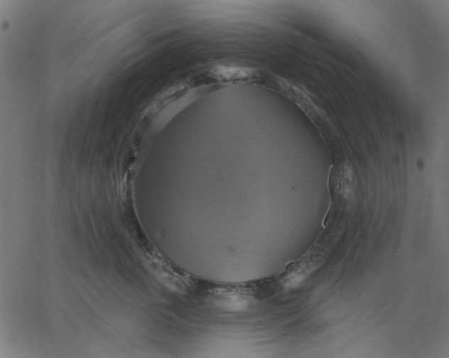 X0000067840763200604271619