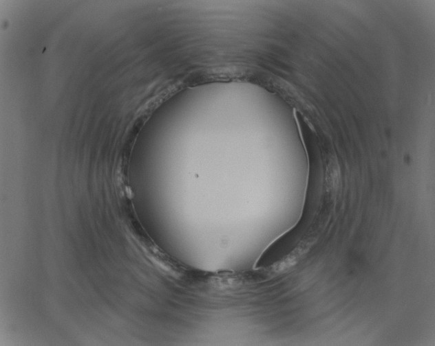 X0000067840764200604271619