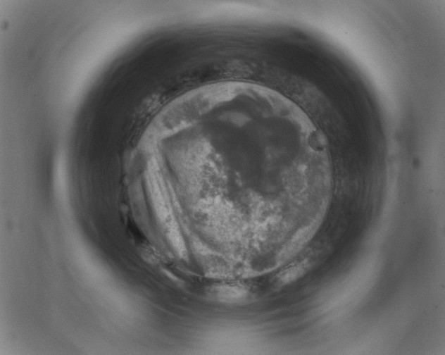 X0000067840765200604271619