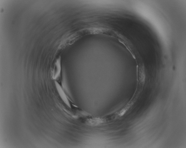 X0000067840766200604271619