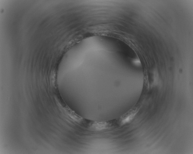 X0000067840767200604271619