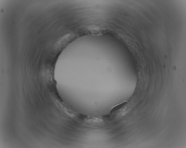 X0000067840768200604271619