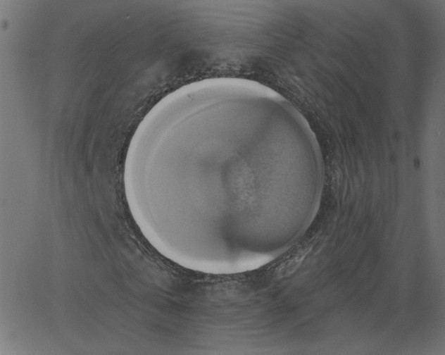 X0000067840769200604271619