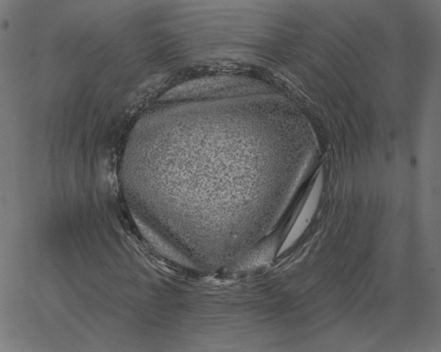 X0000067840771200604271619