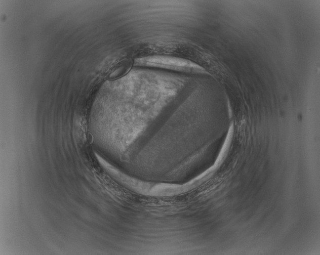 X0000067840772200604271619