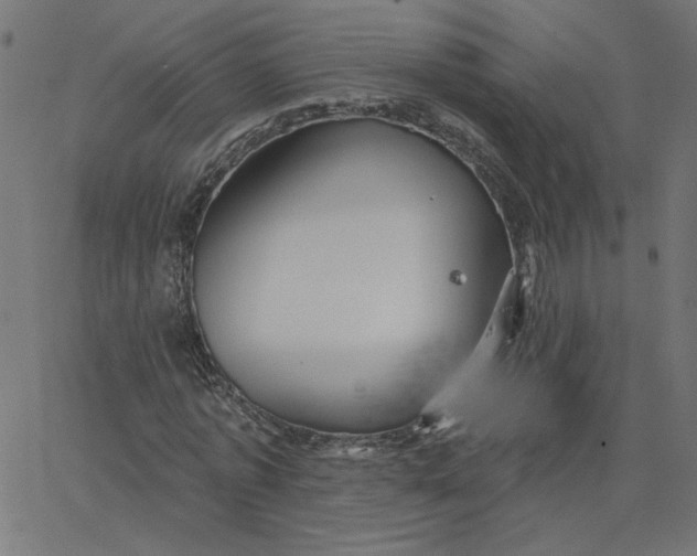 X0000067840773200604271619