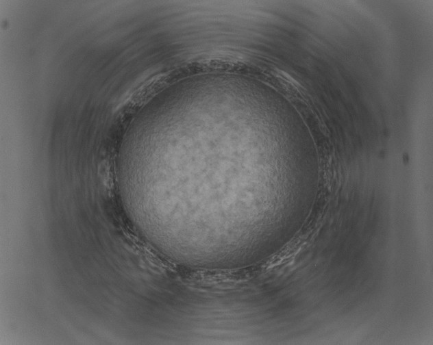 X0000067840774200604271619