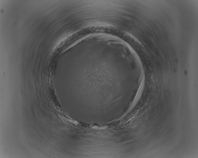 X0000067840775200604271619