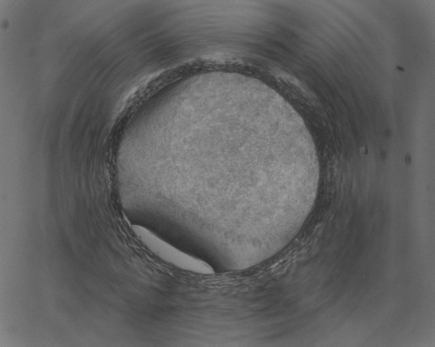 X0000067840776200604271619