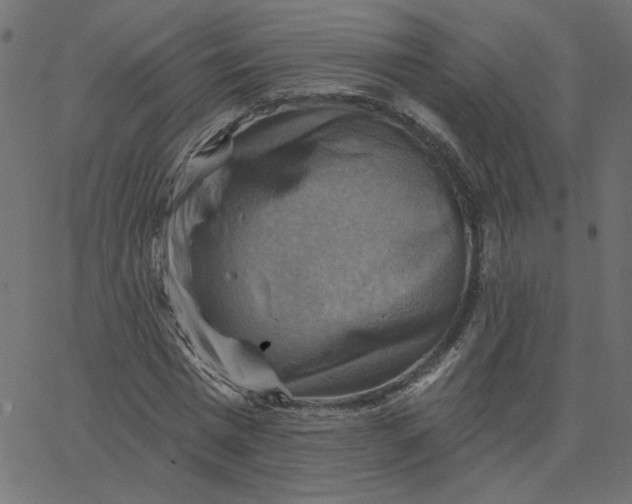 X0000067840777200604271619