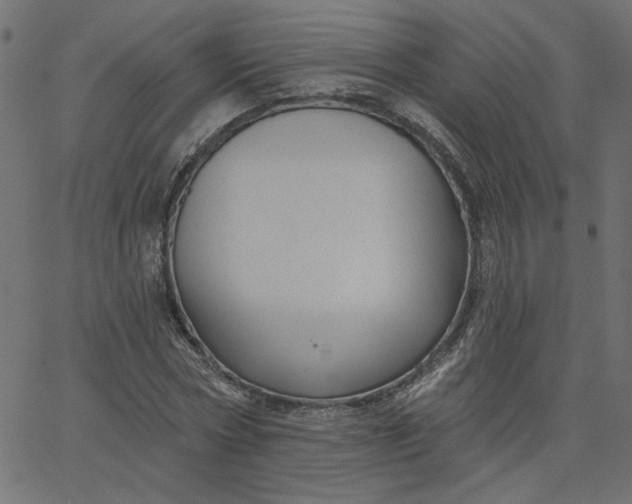 X0000067840778200604271618