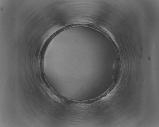 X0000067840779200604271618