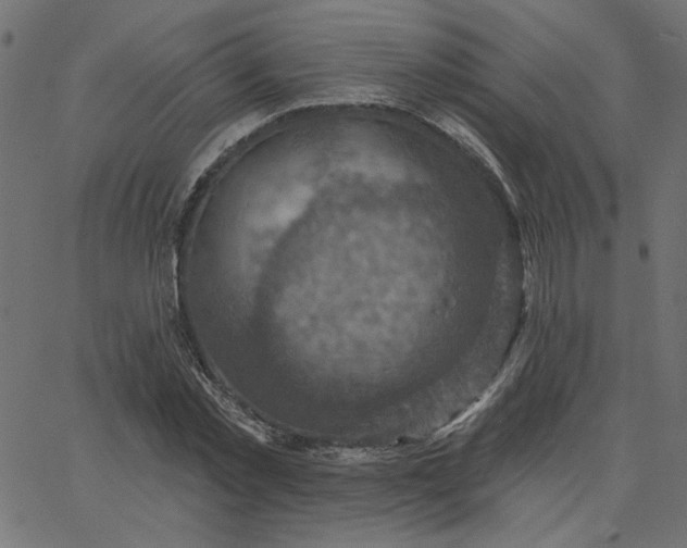 X0000067840781200604271618