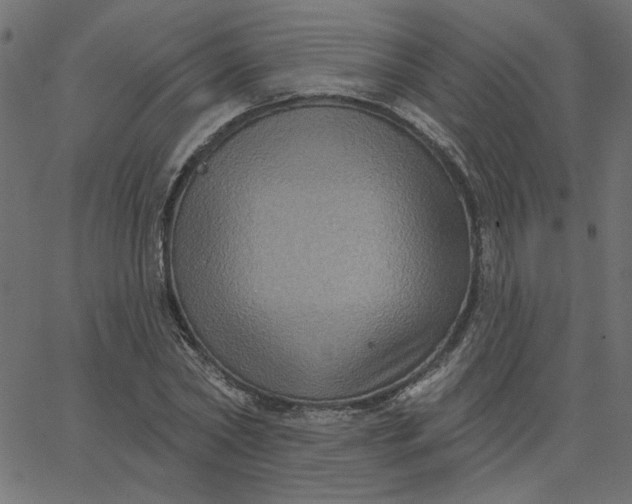 X0000067840782200604271618