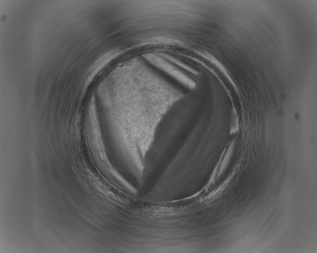 X0000067840783200604271618