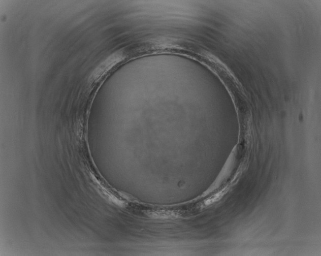 X0000067840785200604271618