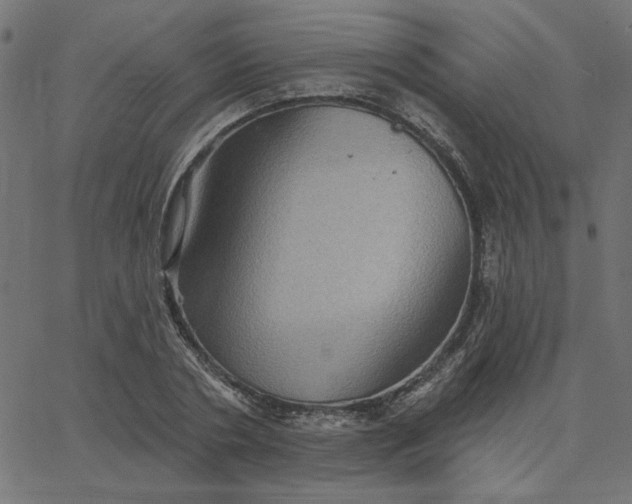 X0000067840786200604271618