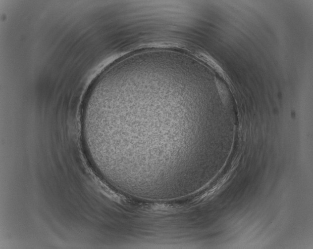 X0000067840787200604271618