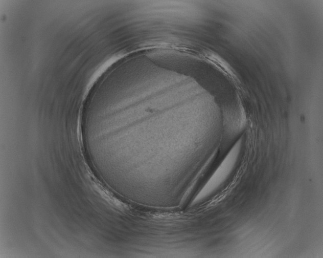 X0000067840788200604271618