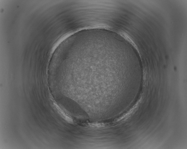 X0000067840789200604271618