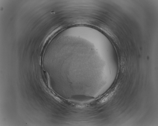 X0000067840790200604271618