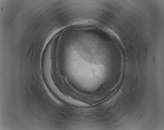 X0000067840792200604271618