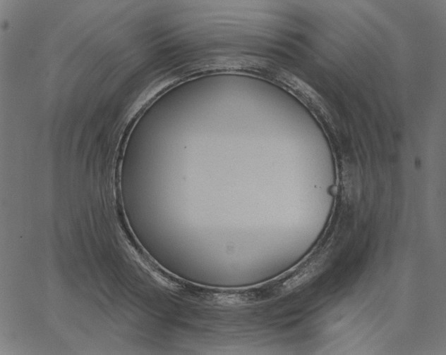 X0000067840794200604271618