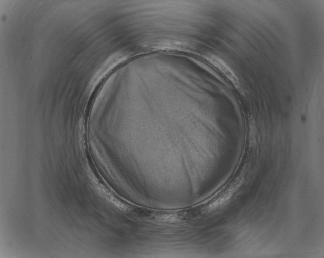 X0000067840798200604271618