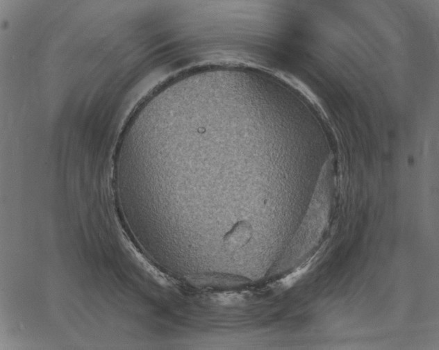 X0000067840799200604271618