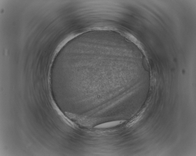 X0000067840803200604271618