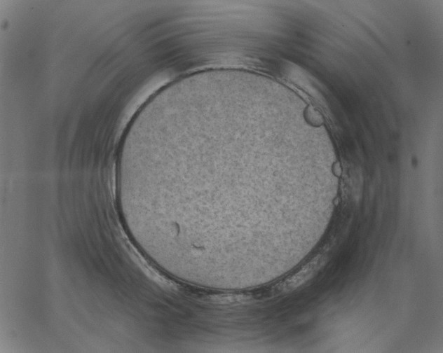 X0000067840804200604271618