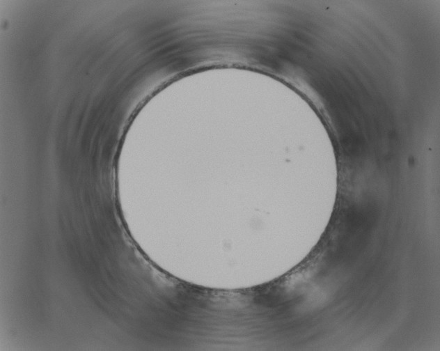 X0000067840807200604271618