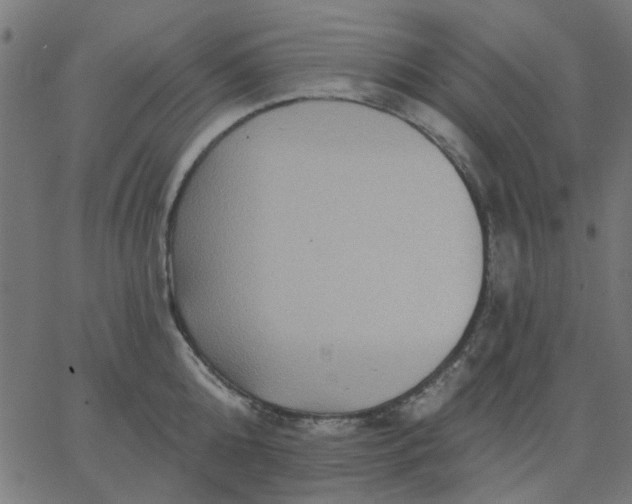 X0000067840808200604271618