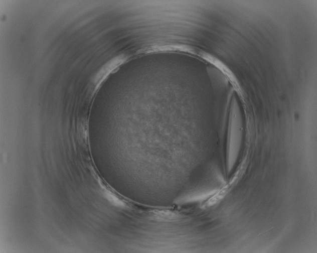 X0000067840809200604271618