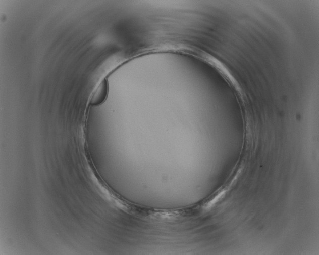 X0000067840810200604271618