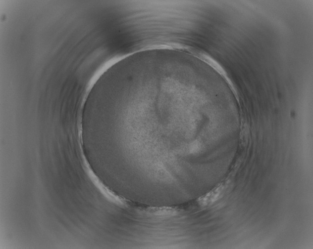 X0000067840811200604271618