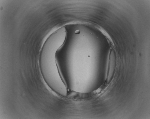 X0000067840813200604271618