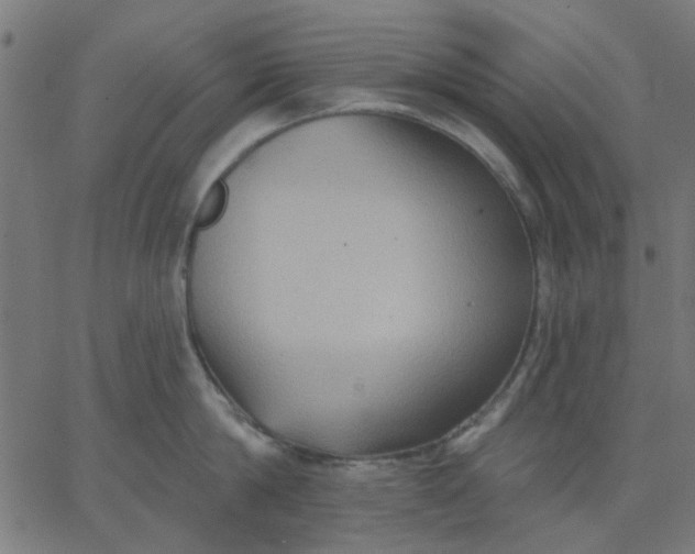 X0000067840814200604271618