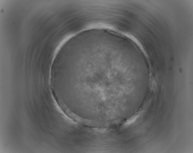 X0000067840815200604271618