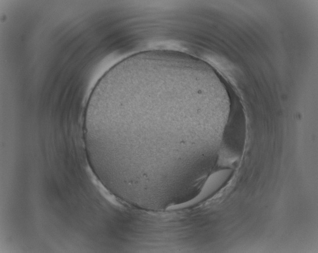 X0000067840816200604271618