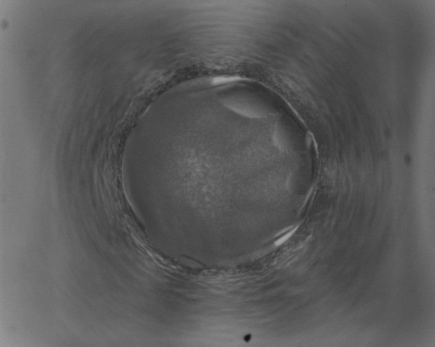 X0000067840817200604271617