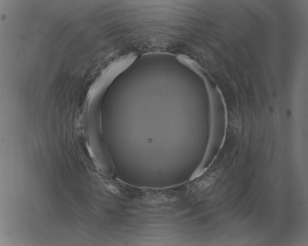 X0000067840818200604271617