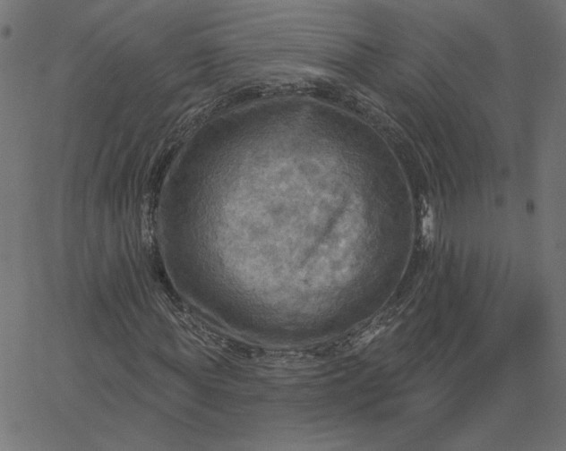 X0000067840819200604271617