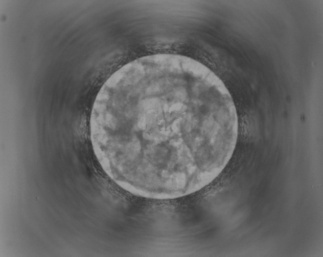 X0000067840820200604271617