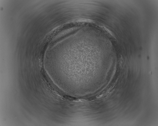 X0000067840821200604271617