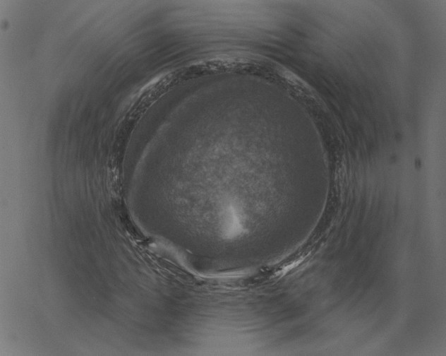 X0000067840822200604271617