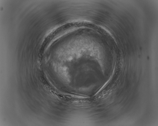 X0000067840823200604271617