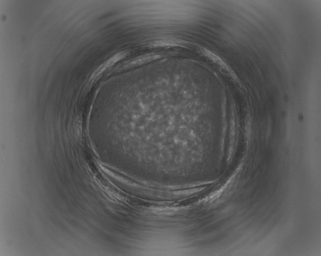 X0000067840825200604271617