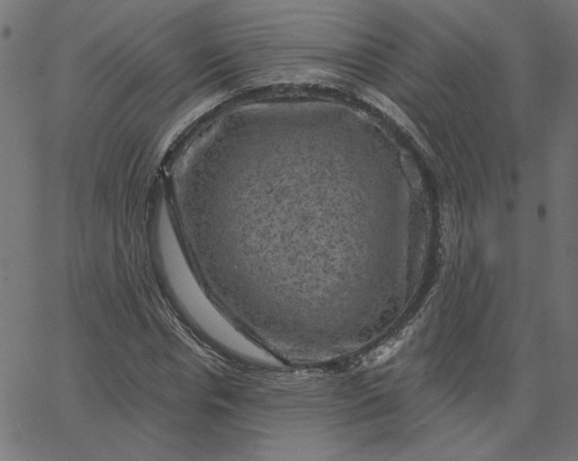 X0000067840826200604271617